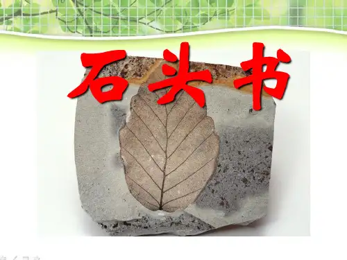 《石头书》4公开课优选PPT