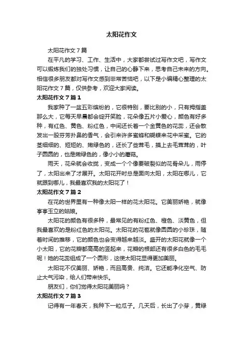 太阳花作文7篇