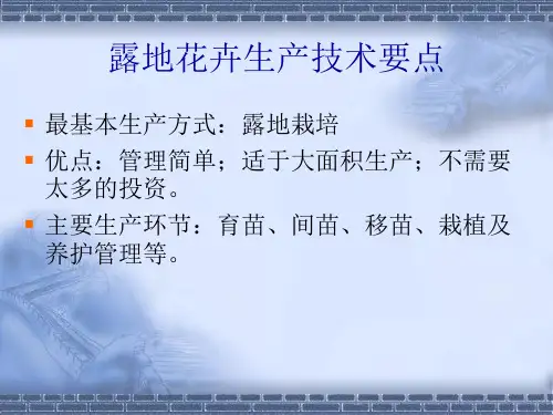 露地花卉的栽培与管理