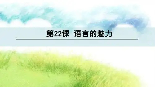 22 语言的魅力解析