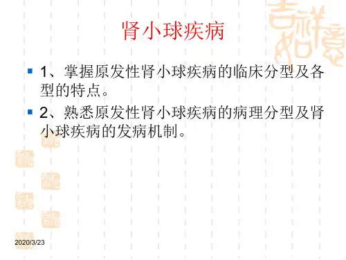 肾小球疾病(教学)