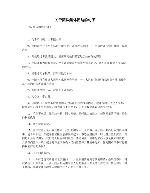 关于团队集体团结的句子