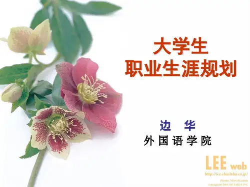 英语专业大学生职业规划