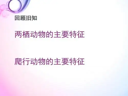 人教版八年级生物上册第五单元第一章第六节 鸟 (共24张PPT)