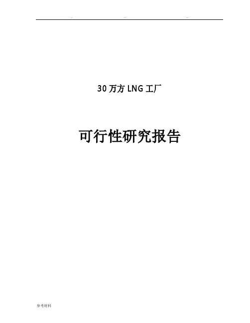 30万方LNG工厂可行性实施计划书
