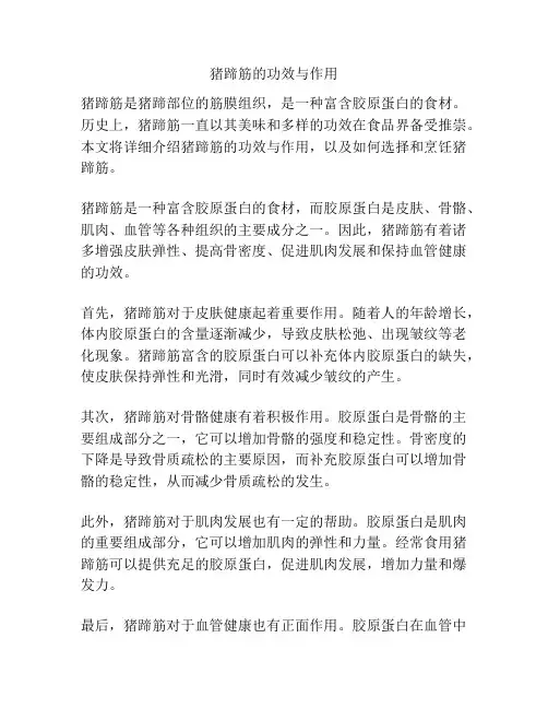 猪蹄筋的功效与作用