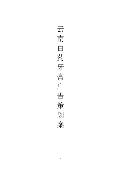 曹广民云南白药牙膏营销方案策划