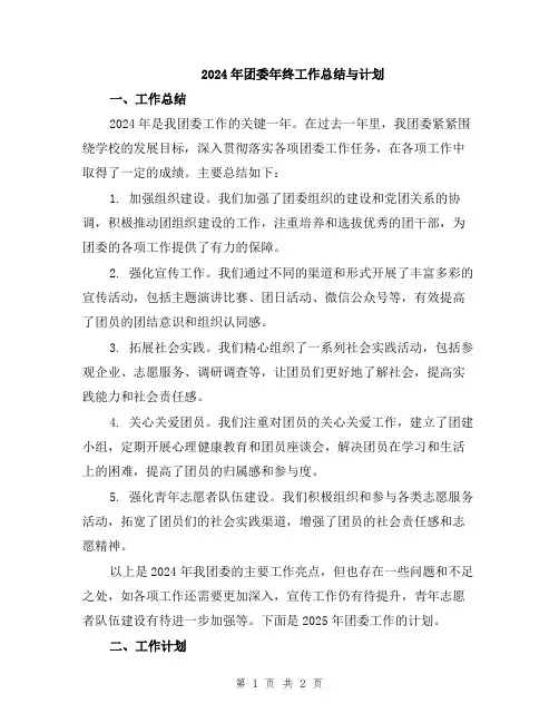 2024年团委年终工作总结与计划