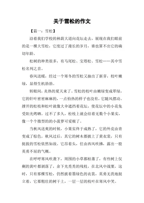 关于雪松的作文