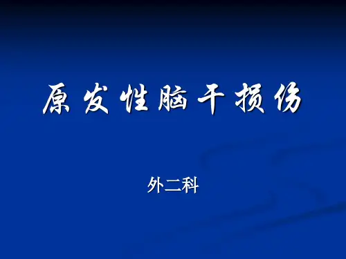 原发性脑干损伤PPT课件