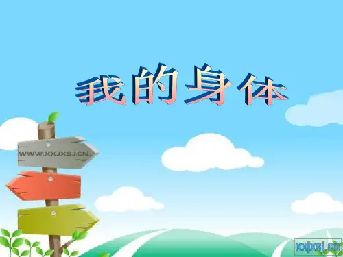 我的身体.ppt
