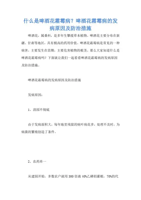 什么是啤酒花霜霉病？啤酒花霜霉病的发病原因及防治措施