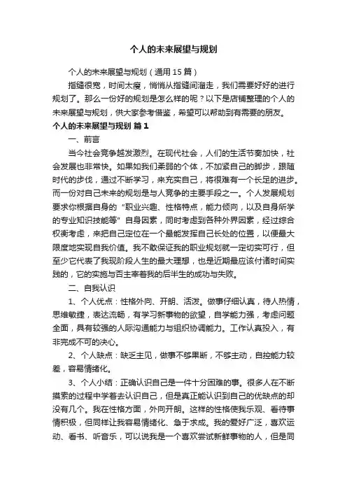 个人的未来展望与规划