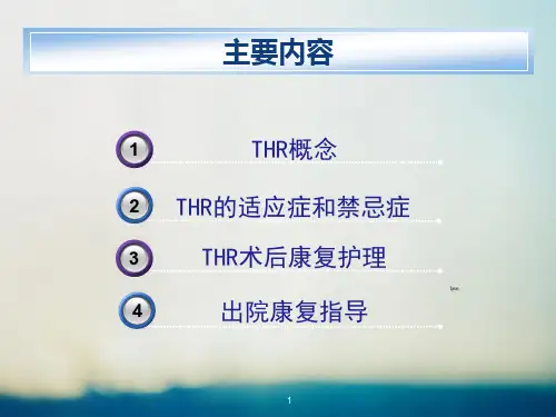人工髋关节置换术