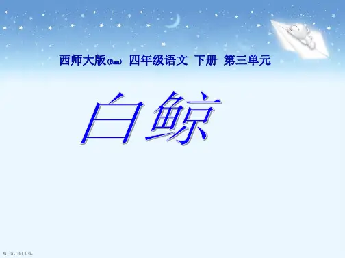 五年级语文下册《白鲸 》课件(9)