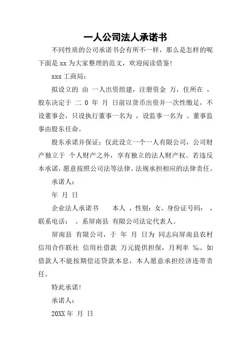 一人公司法人承诺书