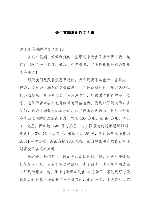 关于青海湖的作文5篇
