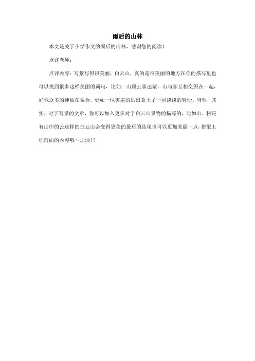 雨后的山林_小学作文_3