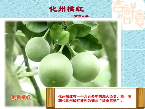 化州橘红