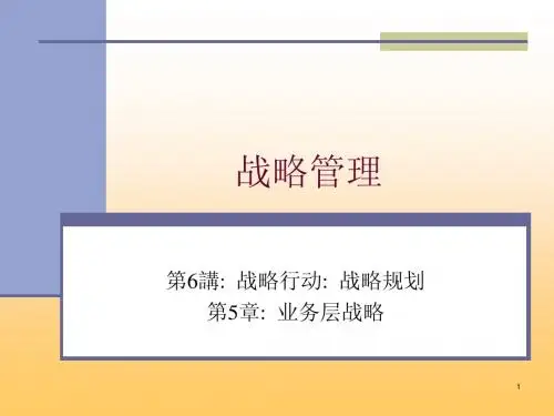战略管理—业务层战略