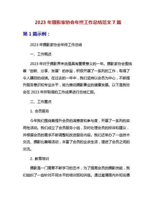2023年摄影家协会年终工作总结范文7篇