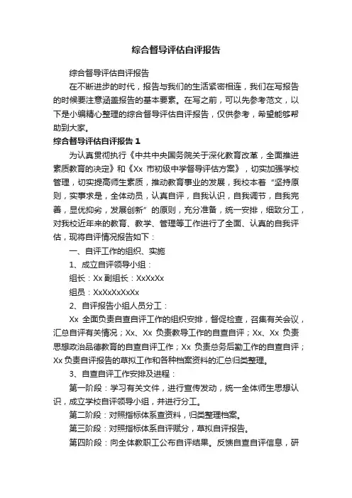 综合督导评估自评报告