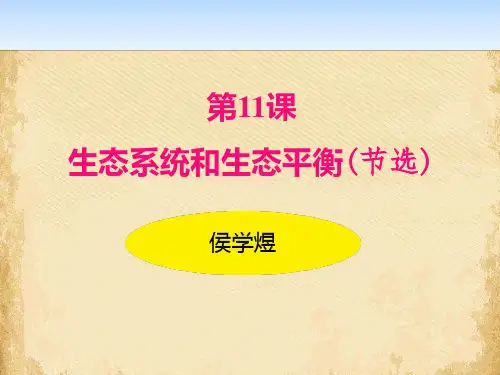 《生态系统和生态平衡》PPT课件
