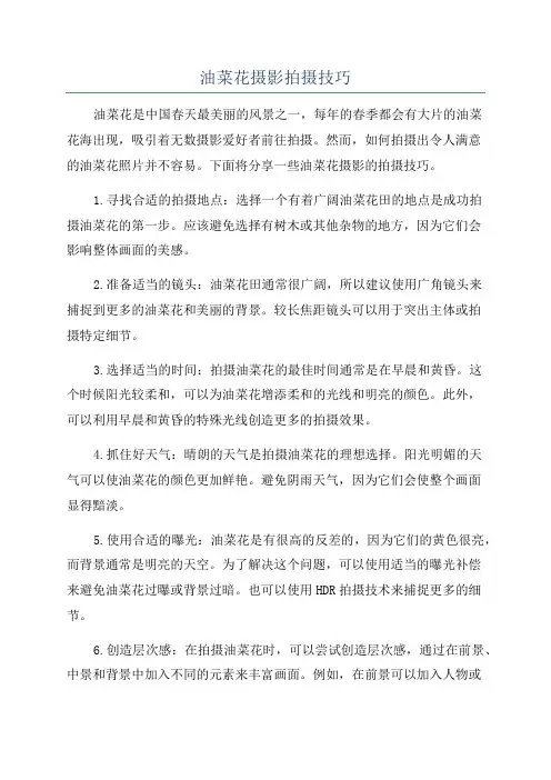 油菜花摄影拍摄技巧