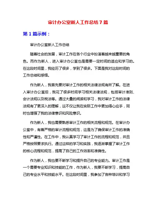 审计办公室新人工作总结7篇