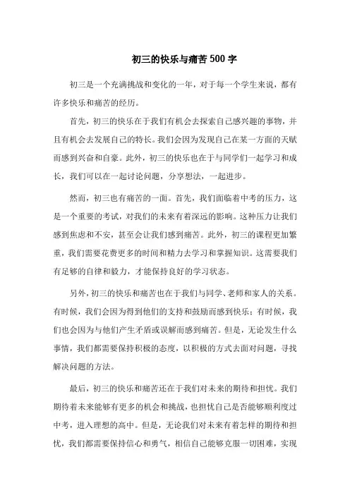初三的快乐与痛苦500字