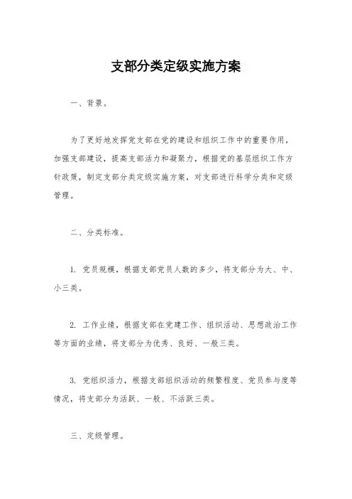 支部分类定级实施方案