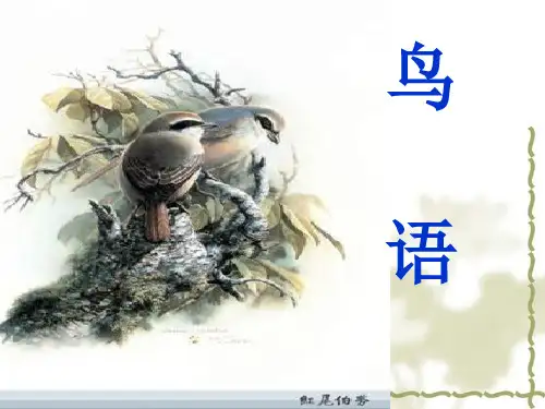 鸟语第一课时分解