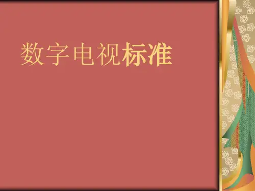 数字电视标准