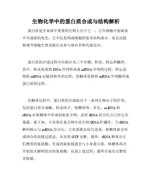 生物化学中的蛋白质合成与结构解析