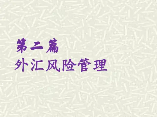 国际财务管理-4