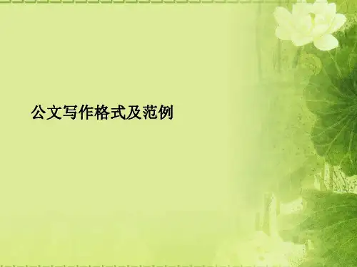 公文写作格式及范例PPT课件