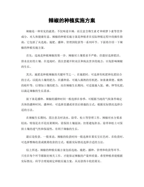 辣椒的种植实施方案