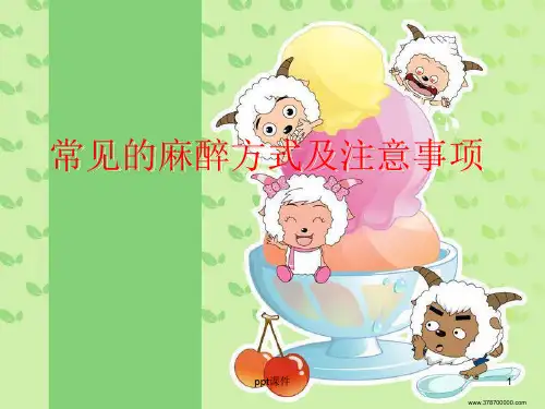常见的麻醉方式及注意事项  ppt课件