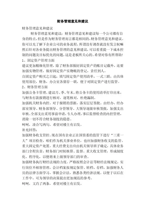财务管理意见和建议（精简版）