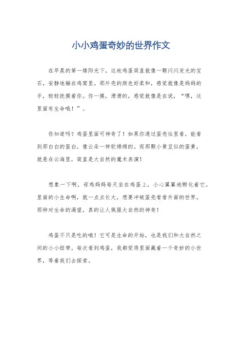 小小鸡蛋奇妙的世界作文