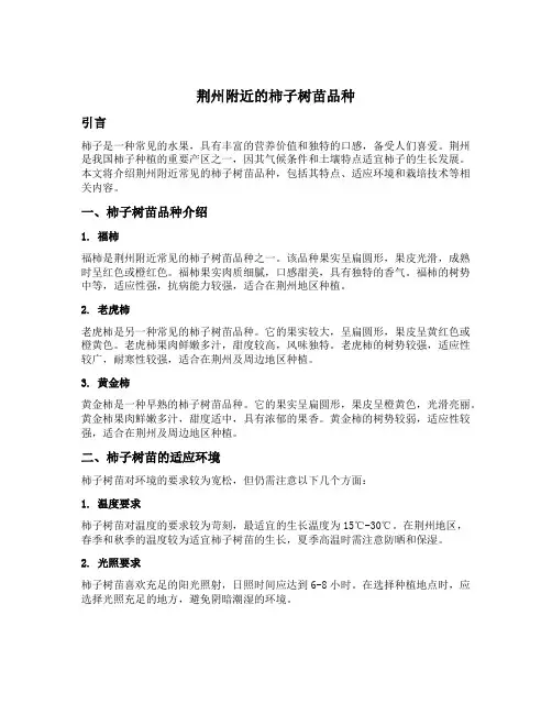 荆州附近的柿子树苗品种