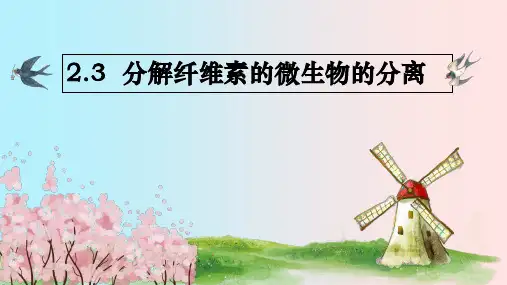 人教版高中生物 选修1专题2课题3 分解纤维素的微生物的分离(共张PPT)