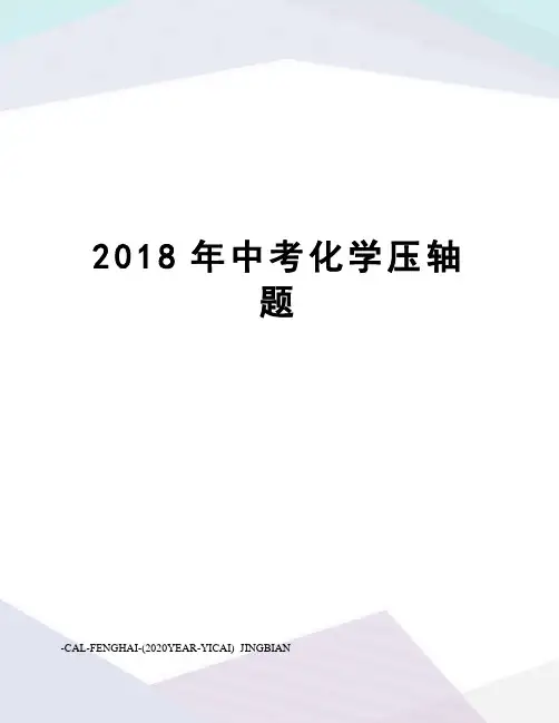 2018年中考化学压轴题