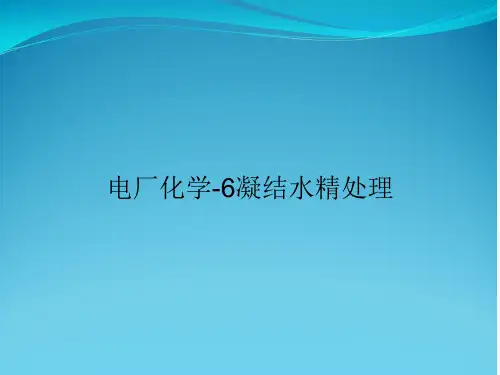 电厂化学-6凝结水精处理