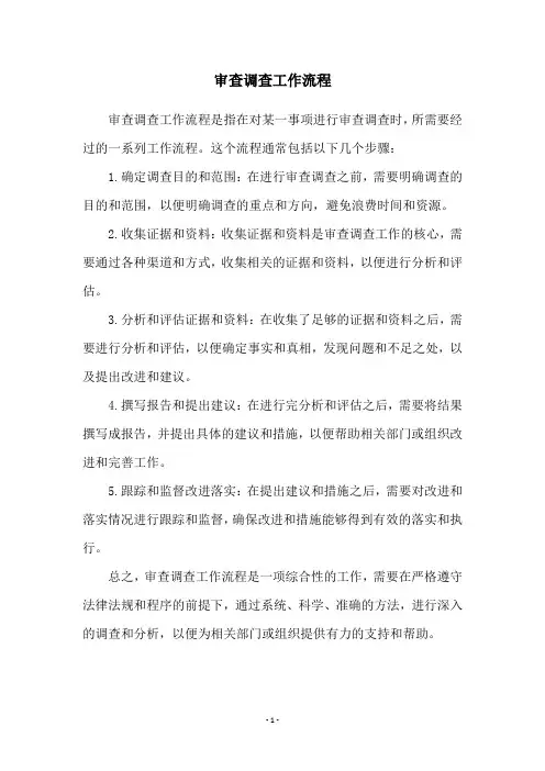审查调查工作流程
