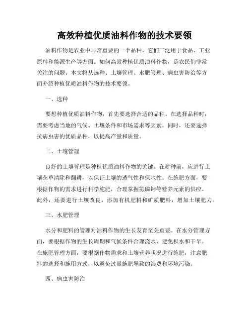 高效种植优质油料作物的技术要领