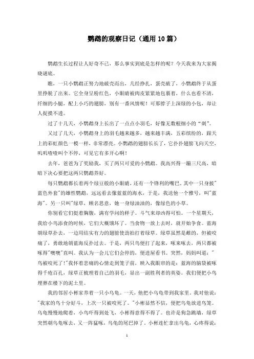 鹦鹉的观察日记精选范文