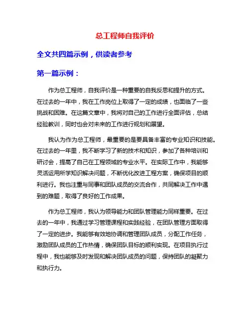 总工程师自我评价