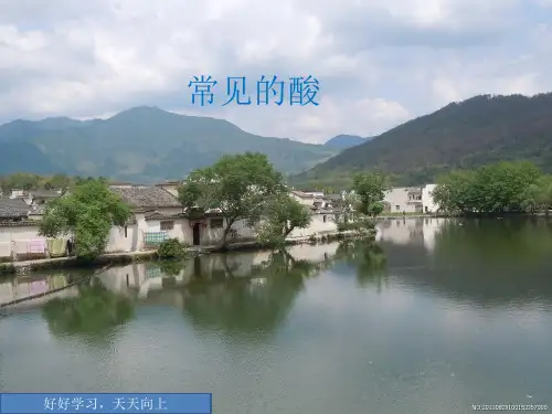 人教版初中化学九下10.1 常见的酸和碱-常见的酸 课件品质课件PPT