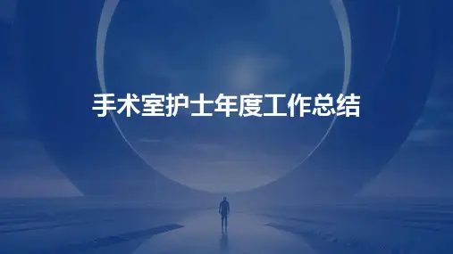 手术室护士年度工作总结PPT